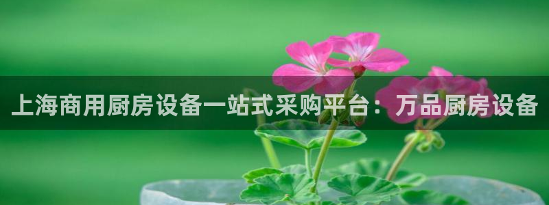 尊龙用现金娱乐一下下载旧：上海商用厨房设备一站式采购平台：万