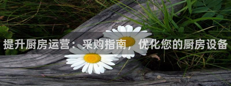 尊龙凯时代理佣金发不发