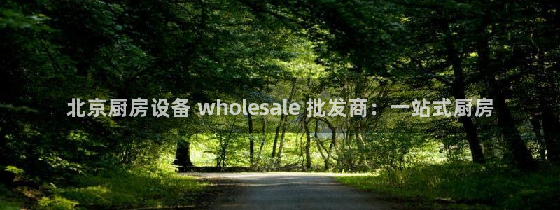 尊龙专访视频：北京厨房设备 wholesale 批发商：一站