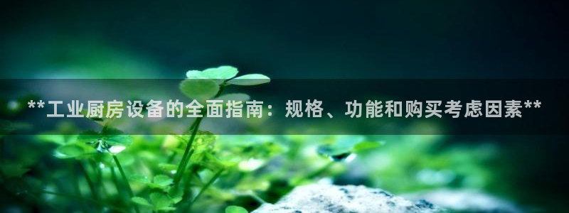 尊龙最经典的三个角色：**工业厨房设备的全面指南：规格、功能