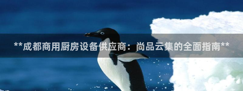 凯时官网的售后服务
