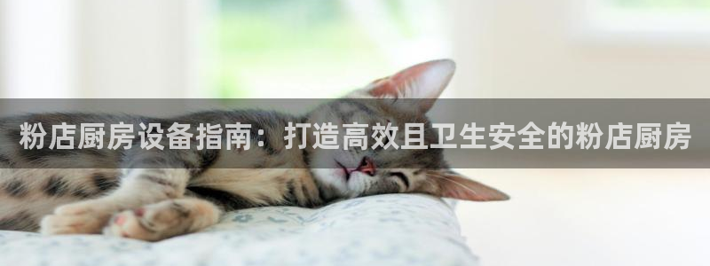 尊龙500价格