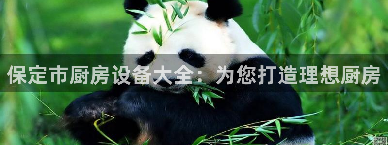 尊龙用现金娱乐一下下载旧