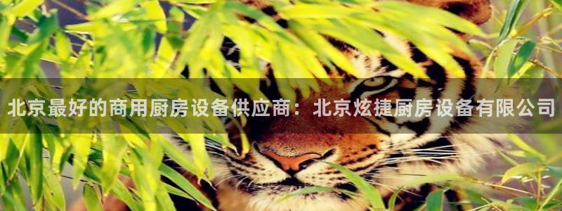 凯时官网