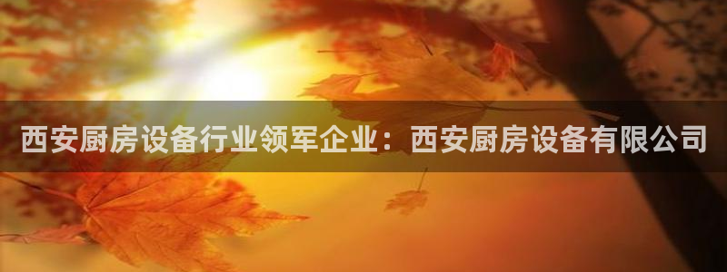 KB88凯时官网