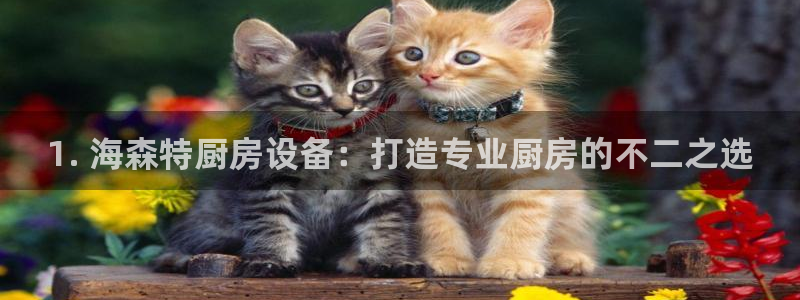尊龙 国外