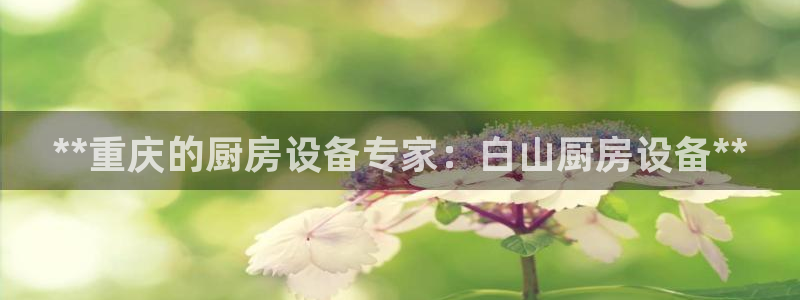 尊龙手机官方客户端下载安装