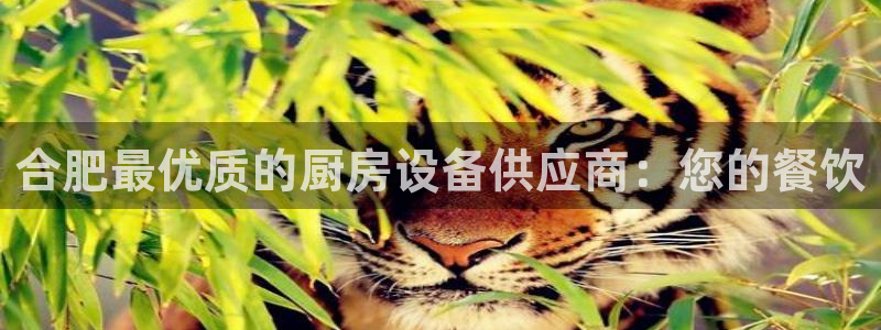 尊龙凯时福米推荐人