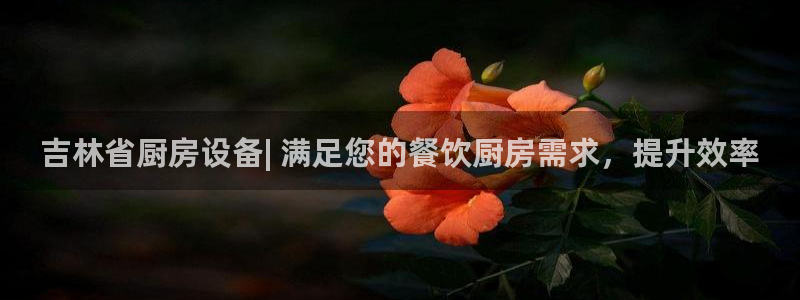 凯时k66官方发布：吉林省厨房设备| 满足您的餐饮厨房需求，