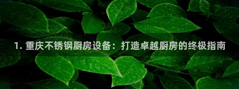 尊龙z6官网ag：1. 重庆不锈钢厨房设备：打造卓越厨房的终