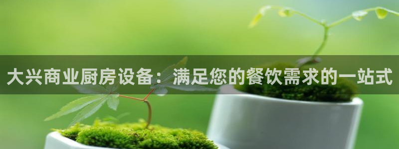 尊龙人生就是博AG旗舰厅：大兴商业厨房设备：满足您的餐饮需求