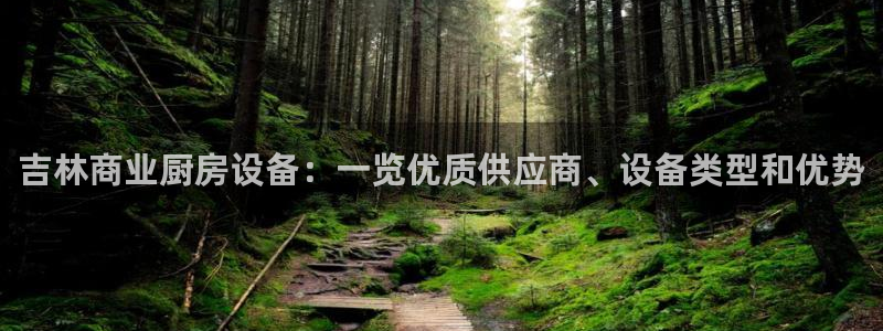 d88尊龙官网登录免费下载：吉林商业厨房设备：一览优质供应商