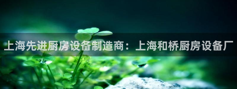 凯时APP官网首页