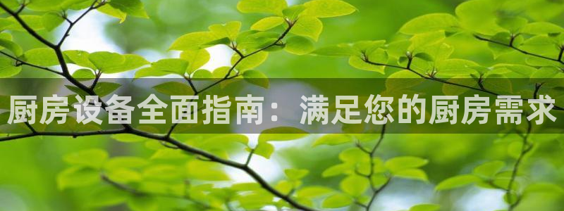 尊龙d88手机app免费下载：厨房设备全面指南：满足您的厨房