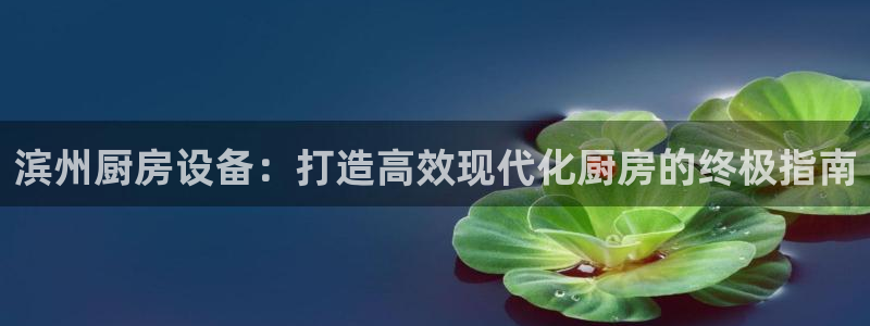 尊龙凯时泰安：滨州厨房设备：打造高效现代化厨房的终极指南