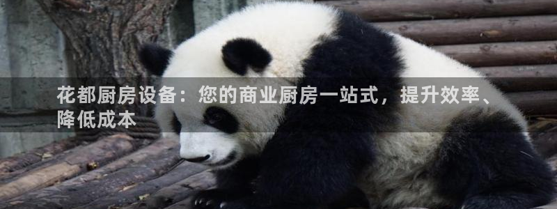 尊龙网址是选访问zd207
