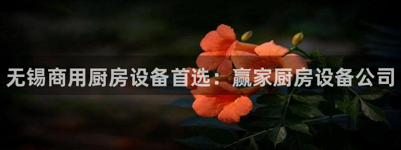 尊龙体育电竞官网