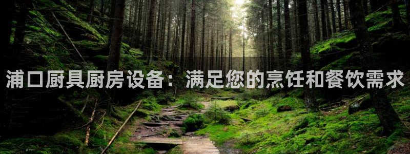 凯时官网：浦口厨具厨房设备：满足您的烹饪和餐饮需求
