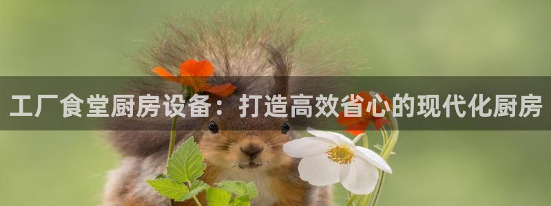 尊龙 6：工厂食堂厨房设备：打造高效省心的现代化厨房