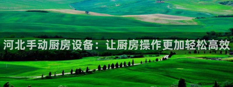 尊龙人生就是博旧版手机可靠送38元：河北手动厨房设备：让厨房