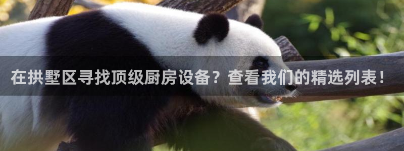 尊龙手机客户端下载
