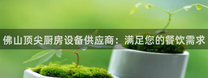 尊龙ag旗舰厅官网官方入口：佛山顶尖厨房设备供应商：满足您的