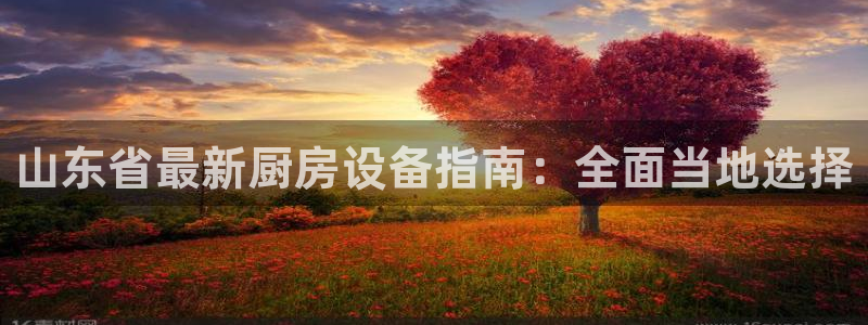 尊龙凯时平台怎么样：山东省最新厨房设备指南：全面当地选择