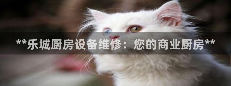 尊龙官网手机版下载