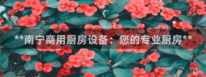 尊龙官网手机版