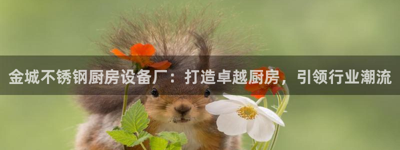 尊龙手机官方客户端下载安卓