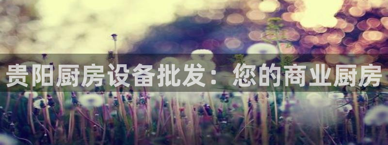 尊龙z6