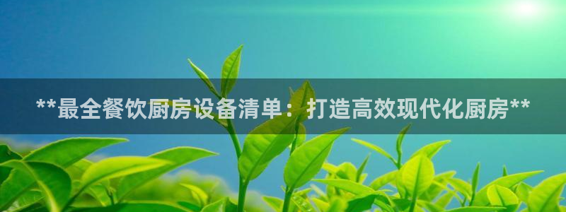 尊龙d88平台版下载：**最全餐饮厨房设备清单：打造高效现代