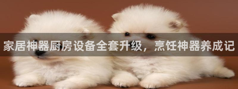 尊龙专访视频