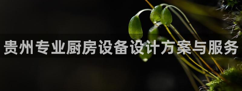 尊龙百度贴吧