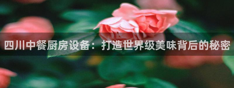 尊龙 下载