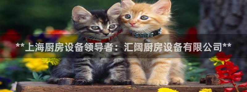 凯时K66最新版本下载：**上海厨房设备领导者：汇阔厨房设备