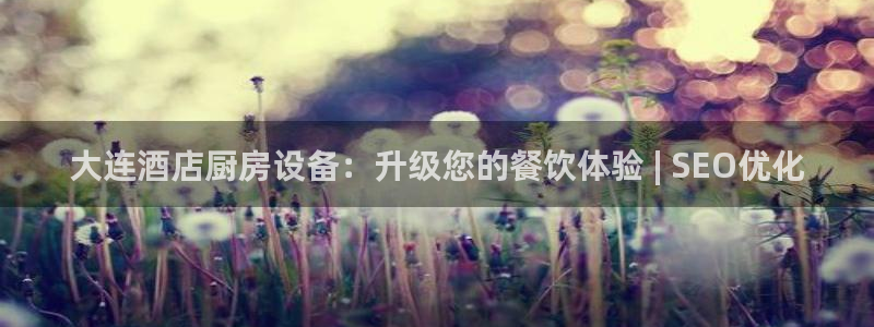 尊龙d88用现推选ag发财网：大连酒店厨房设备：升级您的餐饮