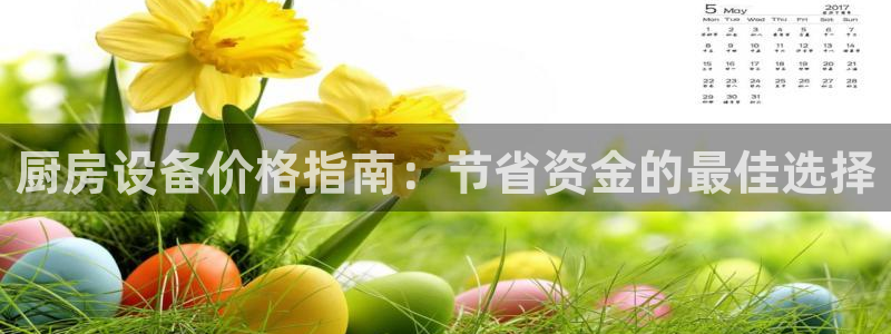 凯时国际官方版：厨房设备价格指南：节省资金的最佳选择