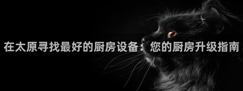 凯时ag旗舰厅登录：在太原寻找最好的厨房设备：您的厨房升级指