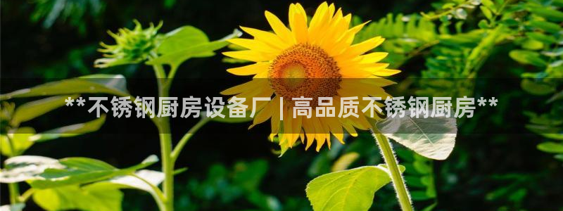 尊龙凯时提款冻卡吗：**不锈钢厨房设备厂 | 高品质不锈钢厨
