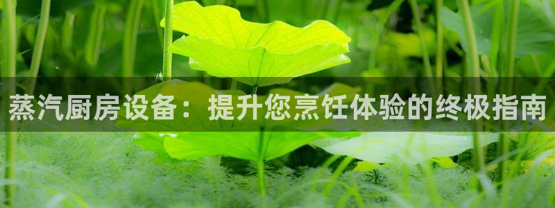 凯时登录平台去AG发财网：蒸汽厨房设备：提升您烹饪体验的终极