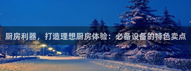 尊龙游戏app官方网站：厨房利器，打造理想厨房体验：必备设备