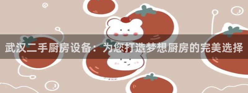 尊龙凯时 人生就是搏 平台：武汉二手厨房设备：为您打造梦想厨