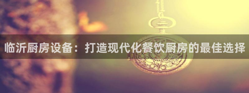 尊龙AG旗舰厅APP：临沂厨房设备：打造现代化餐饮厨房的最佳