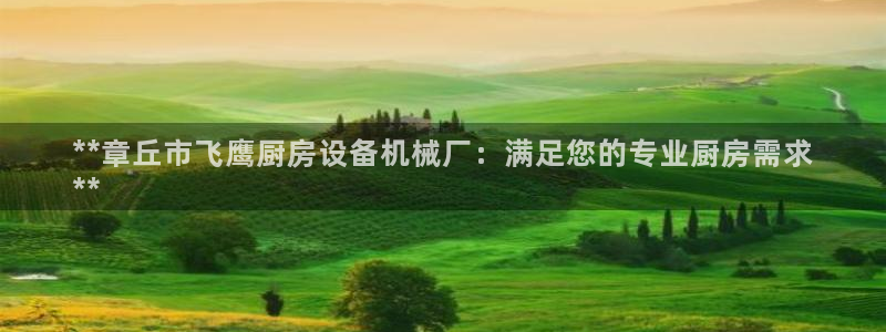 尊龙中国：**章丘市飞鹰