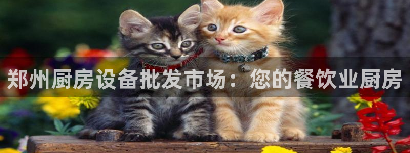 尊龙平台有谁玩过：郑州厨房设备批发市场：