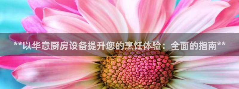 尊龙ag旗舰厅登录 租车app下载：**