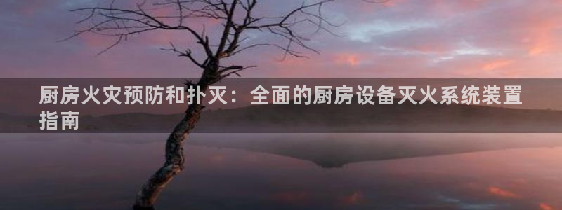 尊龙官网APP下载：厨房火灾预防和扑灭：全面的厨房设备灭火系