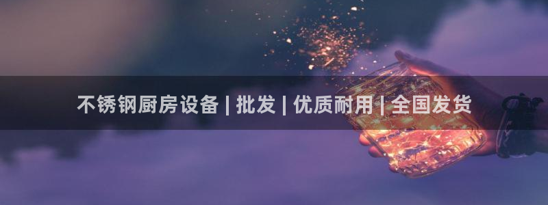 Z6尊龙凯时官方：不锈钢厨房设备 | 批
