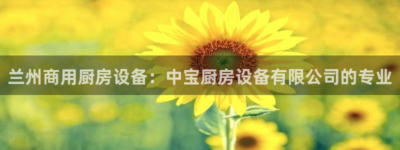 尊龙凯时人生就是搏包装优势